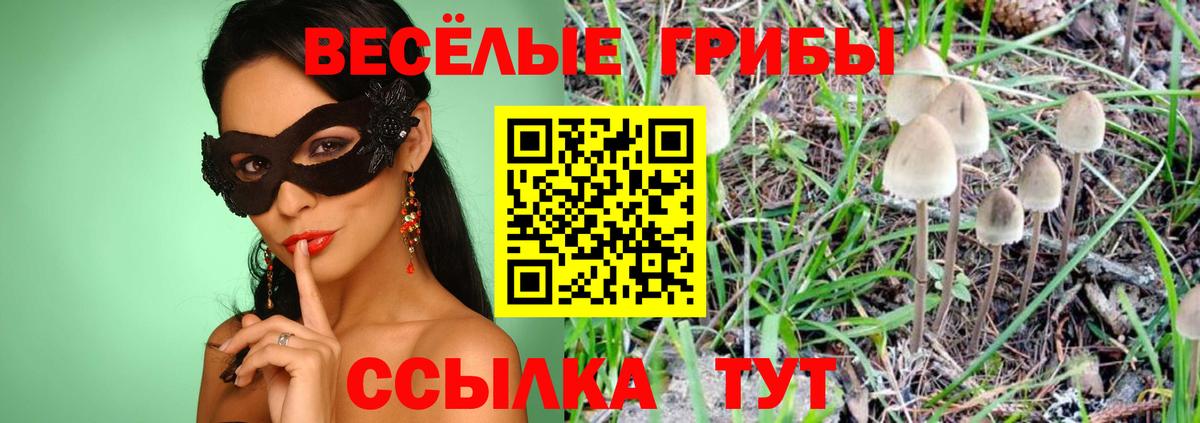 Шадринск  Галлюциногенные грибы MAGIC MUSHROOMS  где найти наркотики  Вход с VPN 